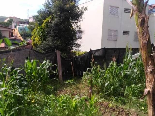 #1433696 - Terreno para Venda em São Bernardo do Campo - SP