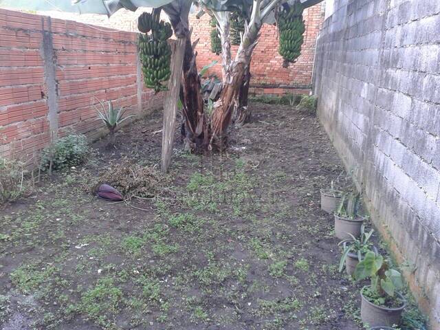 #1434676 - Casa para Locação em Santo André - SP - 3