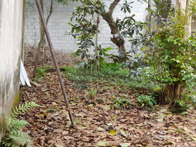 Terreno com imóvel antigo para Venda em São Bernardo do Campo - 5