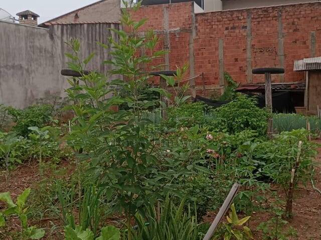 #1436012 - Terreno para Venda em Jaguariúna - SP - 1