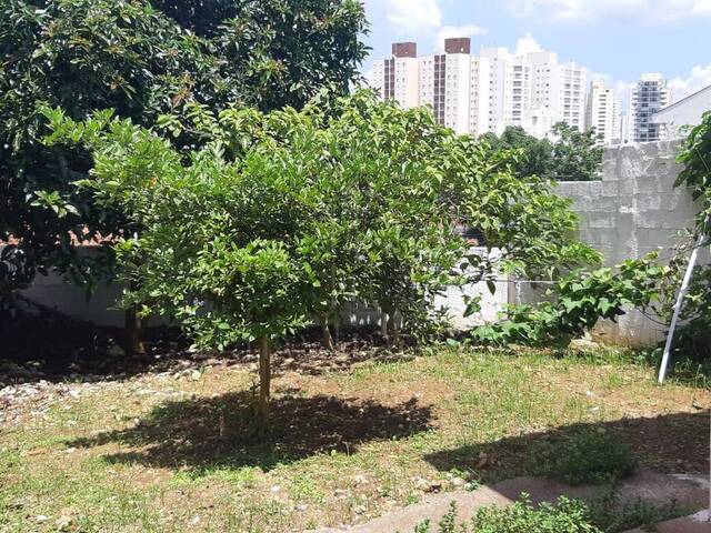 Casa Térrea para Venda em São Bernardo do Campo - 4