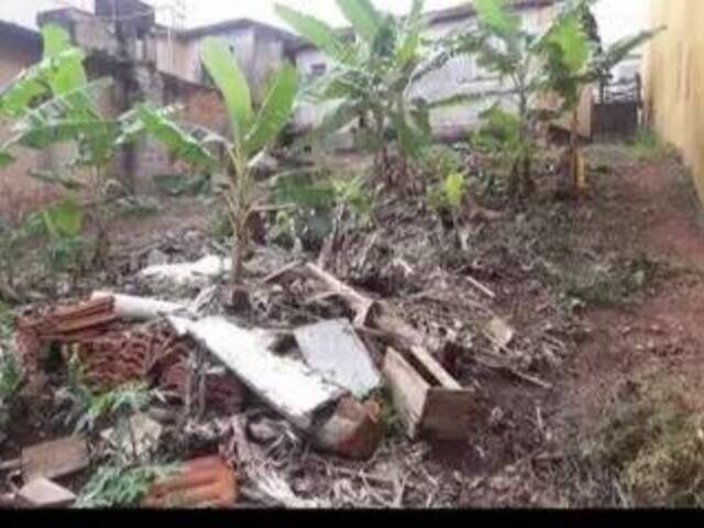 #1436406 - Terreno para Venda em Santo André - SP