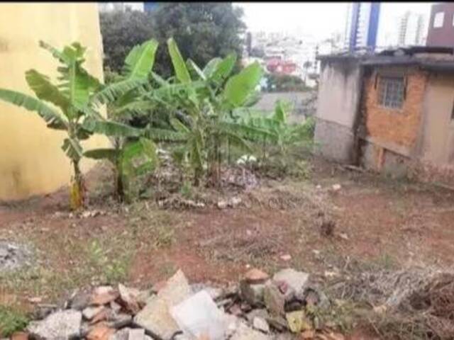 #1436406 - Terreno para Venda em Santo André - SP