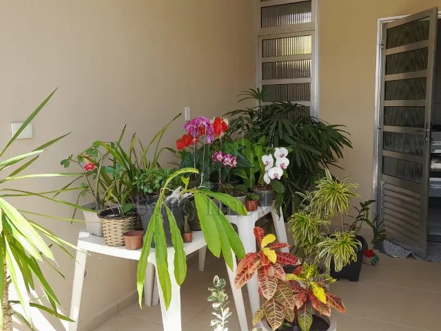 Venda em Assunção - São Bernardo do Campo