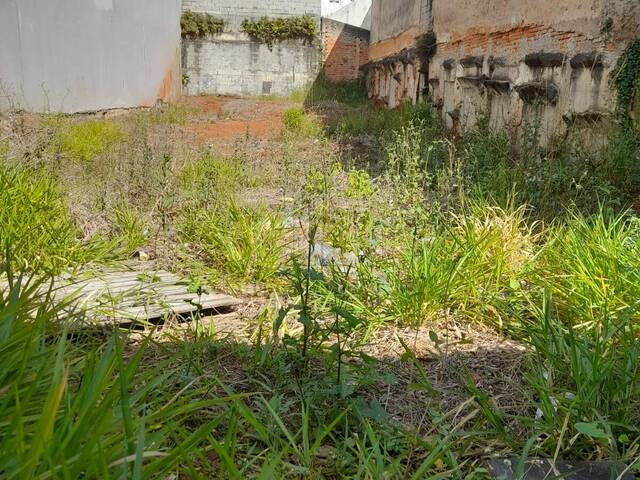 #1437337 - Terreno para Venda em São Bernardo do Campo - SP - 2