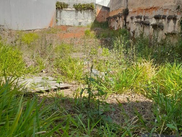 Terreno para Venda em São Bernardo do Campo - 5