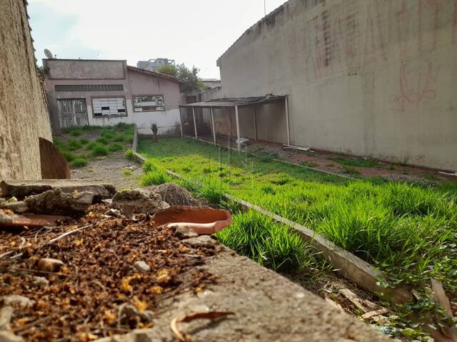 #1437468 - Terreno para Venda em São Bernardo do Campo - SP - 1