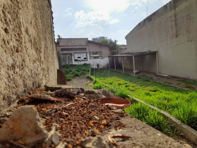 #1437468 - Terreno para Venda em São Bernardo do Campo - SP - 3