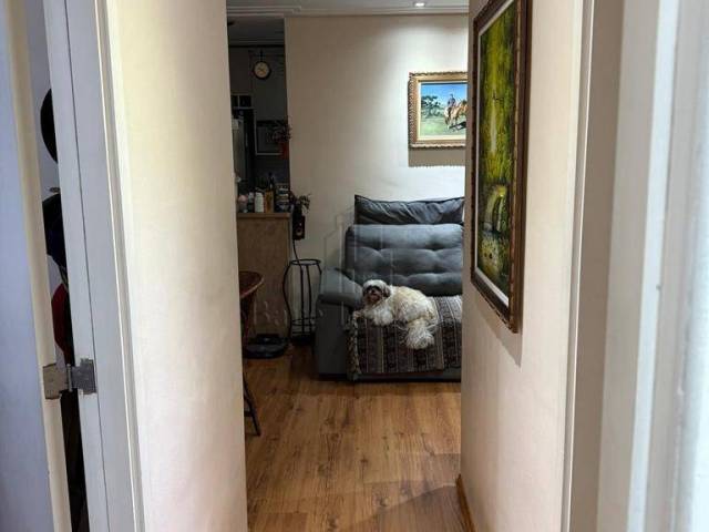 Apartamento para Venda em São Caetano do Sul - 5