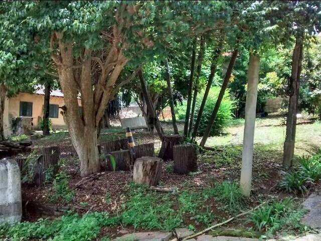 #1437619 - Terreno para Venda em Diadema - SP - 2