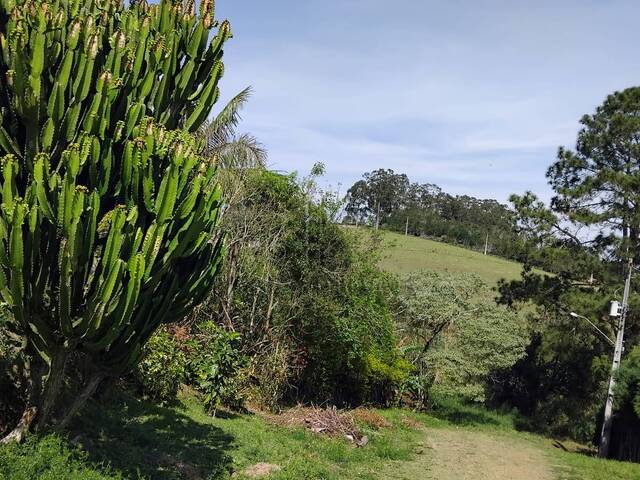 #1437779 - Chácara para Venda em Ibiúna - SP - 3