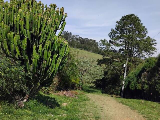 Chácara para Venda em Ibiúna - 5