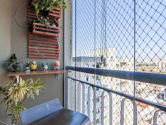 Apartamento para Venda em São Bernardo do Campo - 3