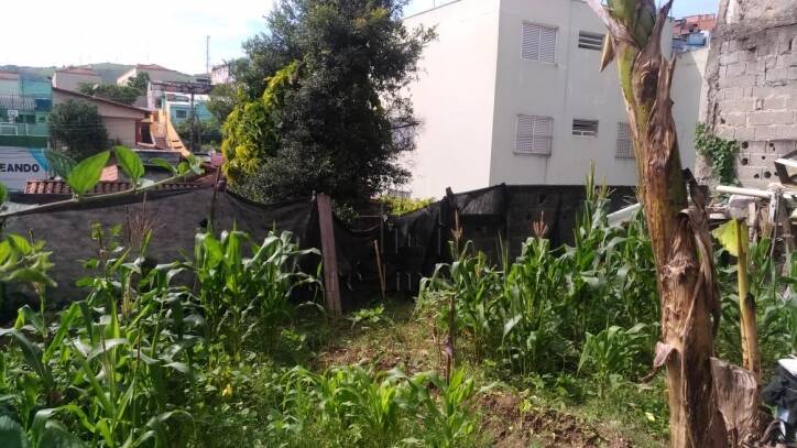 Terreno, 415 m² - Foto 6