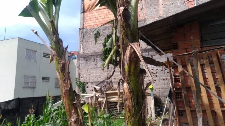 Terreno, 415 m² - Foto 4