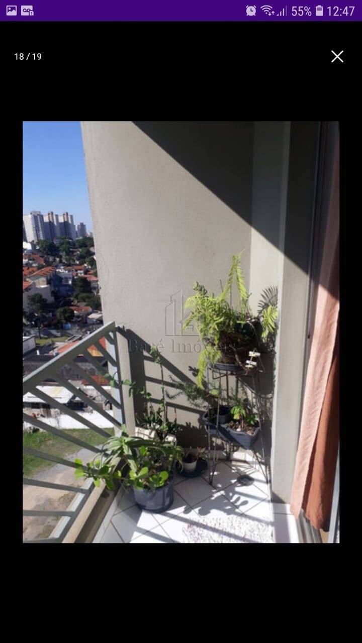 Apartamento, 3 quartos, 67 m² - Foto 6