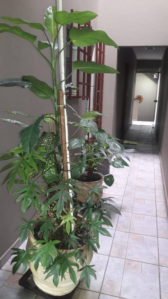 Sobrado, 3 quartos, 220 m² - Foto 7