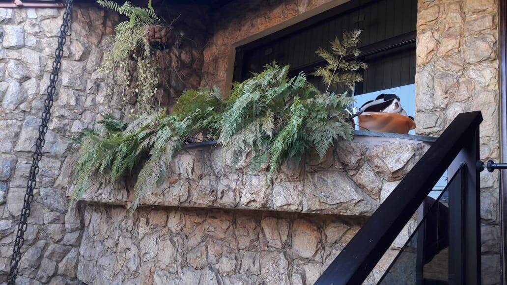 Sobrado, 3 quartos, 280 m² - Foto 5