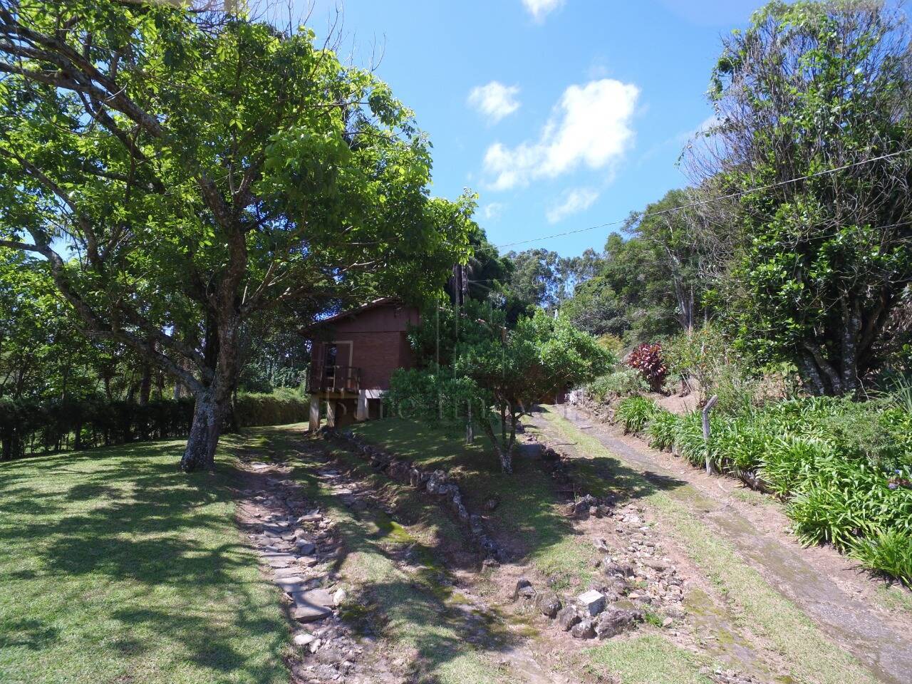 Chácara à venda com 3 quartos, 48000m² - Foto 6