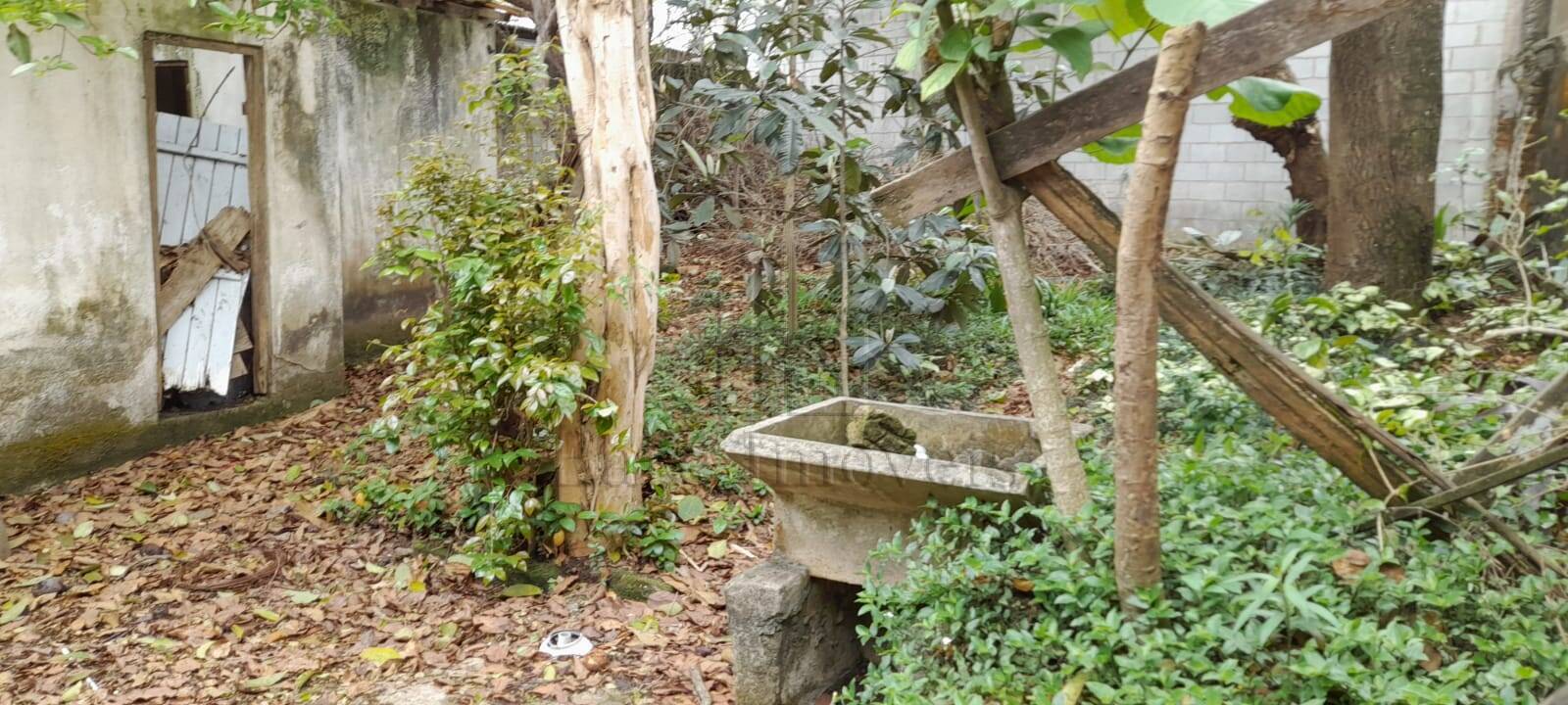 Terreno, 342 m² - Foto 4