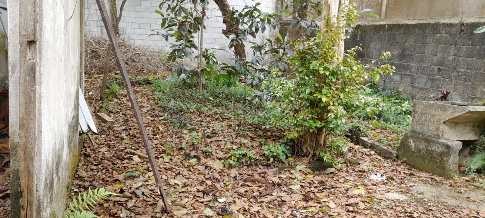 Terreno, 342 m² - Foto 3