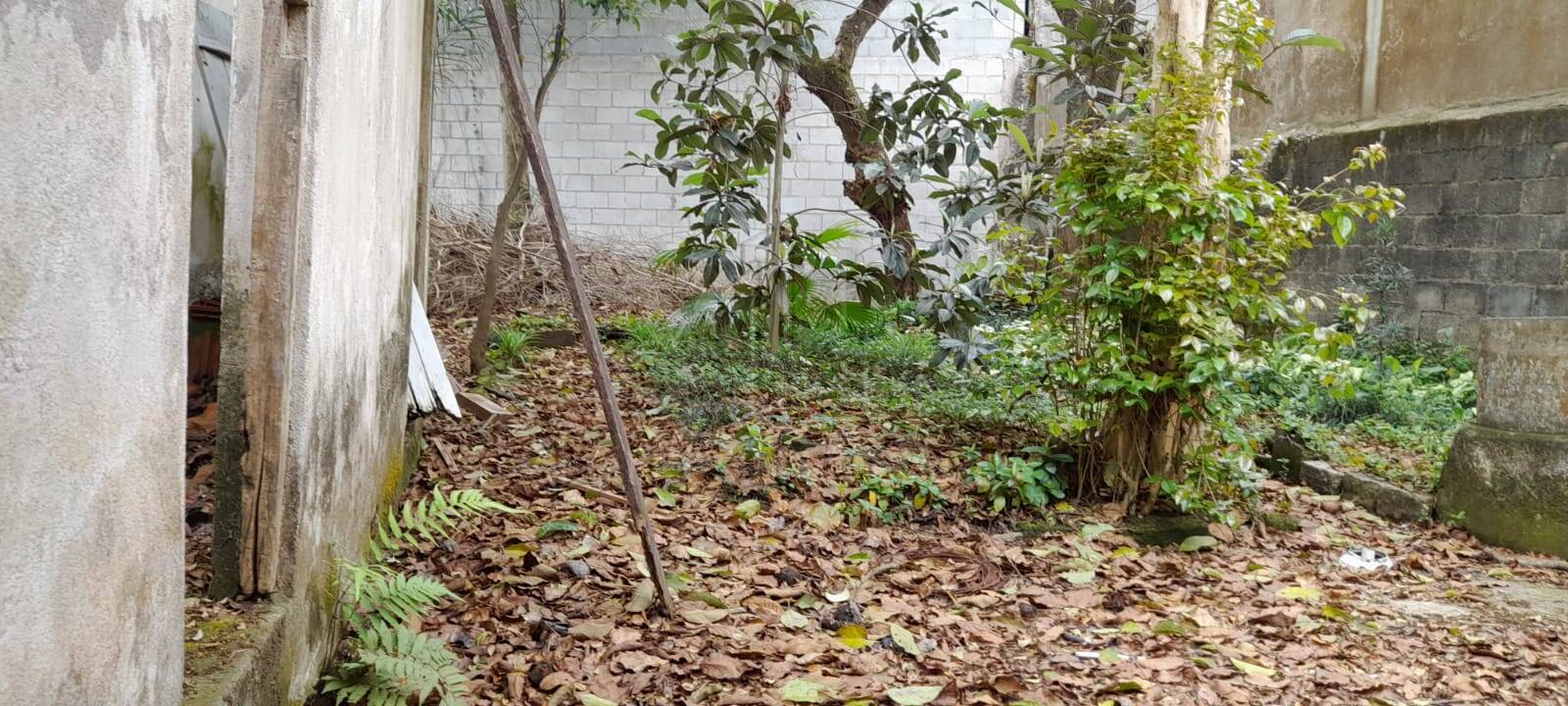 Terreno, 342 m² - Foto 5