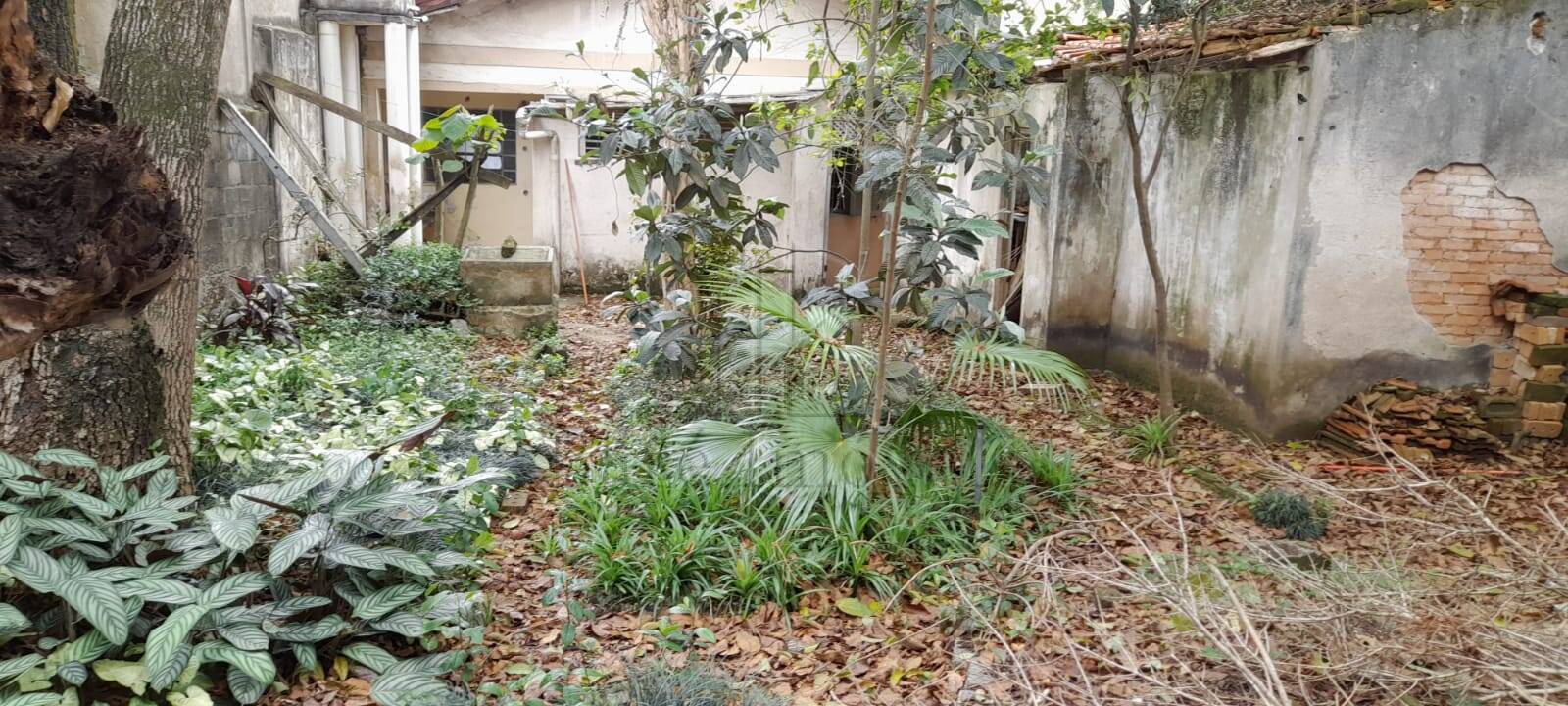 Terreno, 342 m² - Foto 1