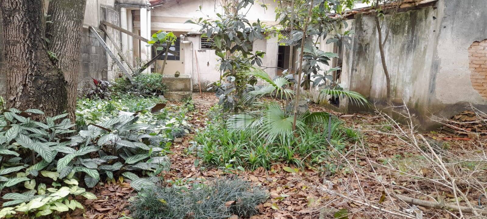 Terreno, 342 m² - Foto 6