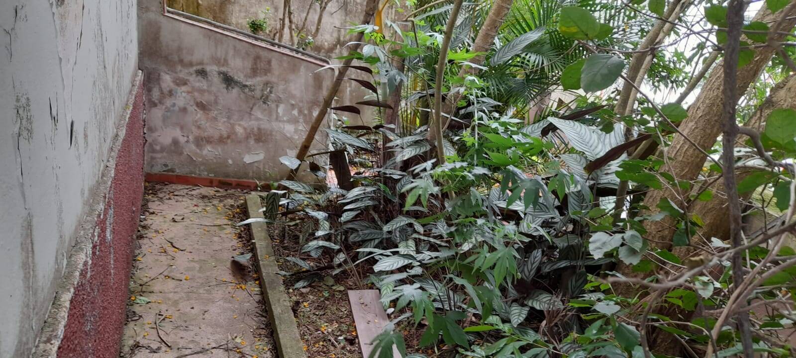 Terreno, 342 m² - Foto 18