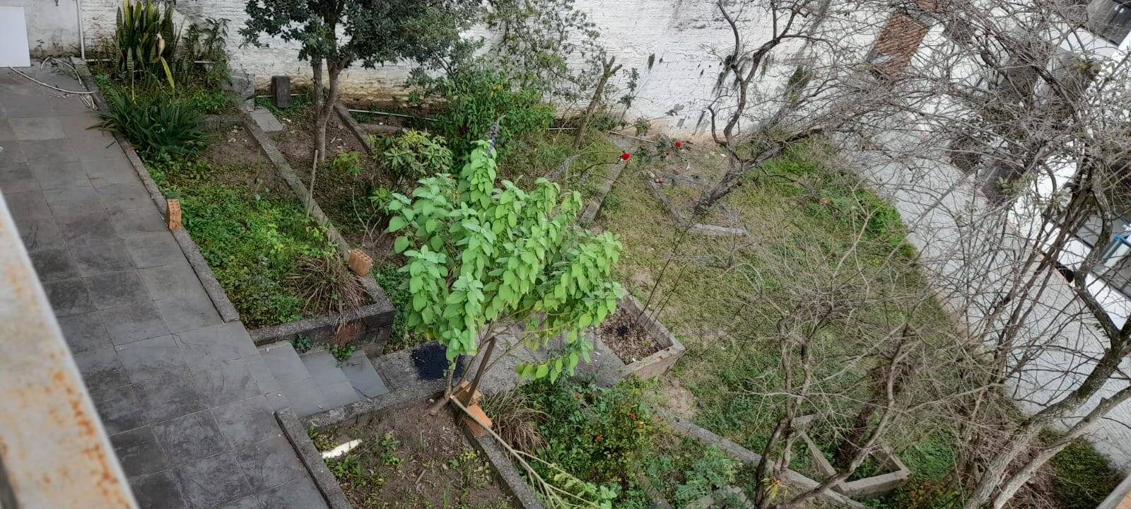 Casa, 2 quartos, 395 m² - Foto 23