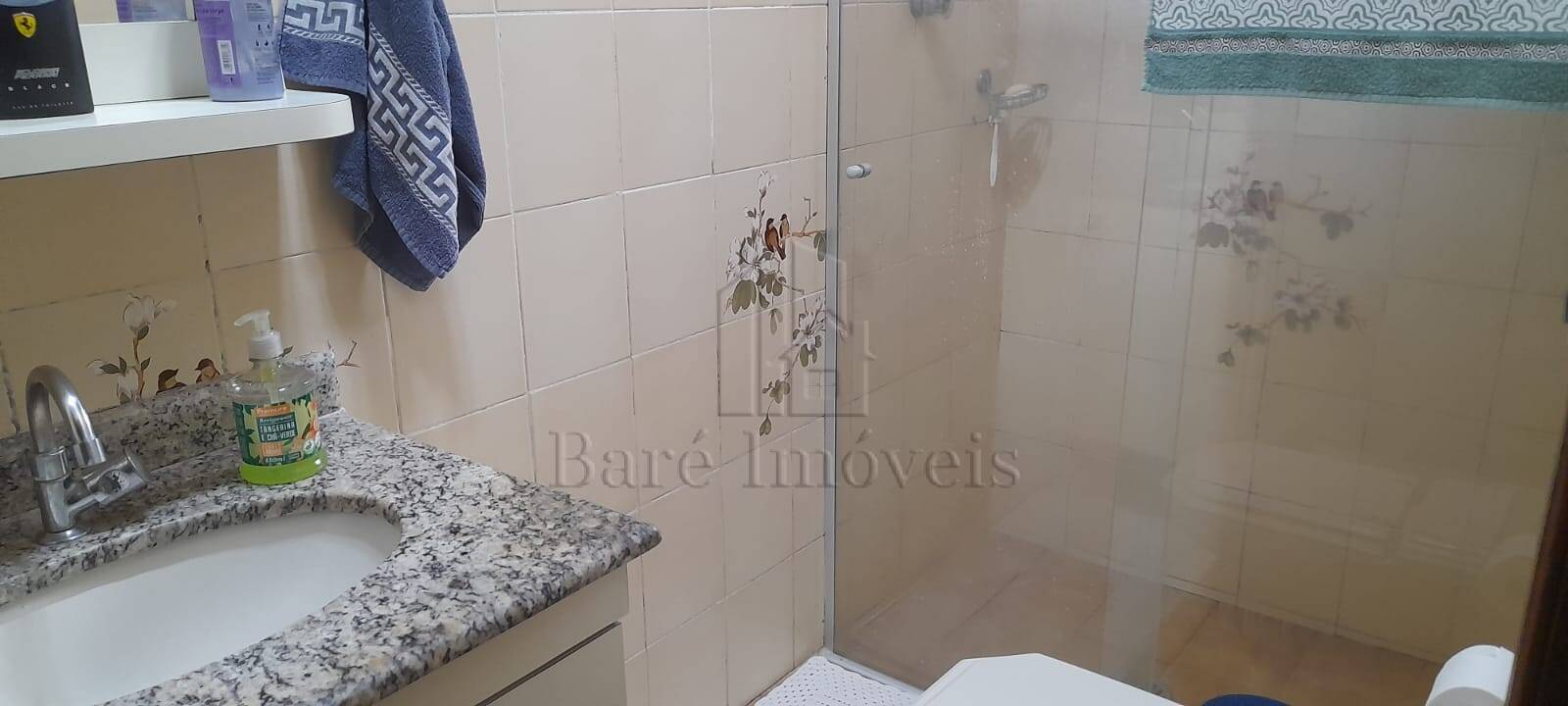 Casa, 4 quartos, 393 m² - Foto 17