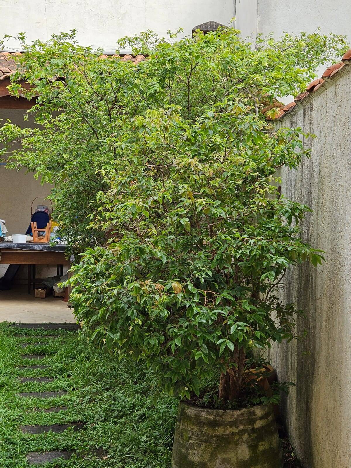 Sobrado, 3 quartos, 120 m² - Foto 9