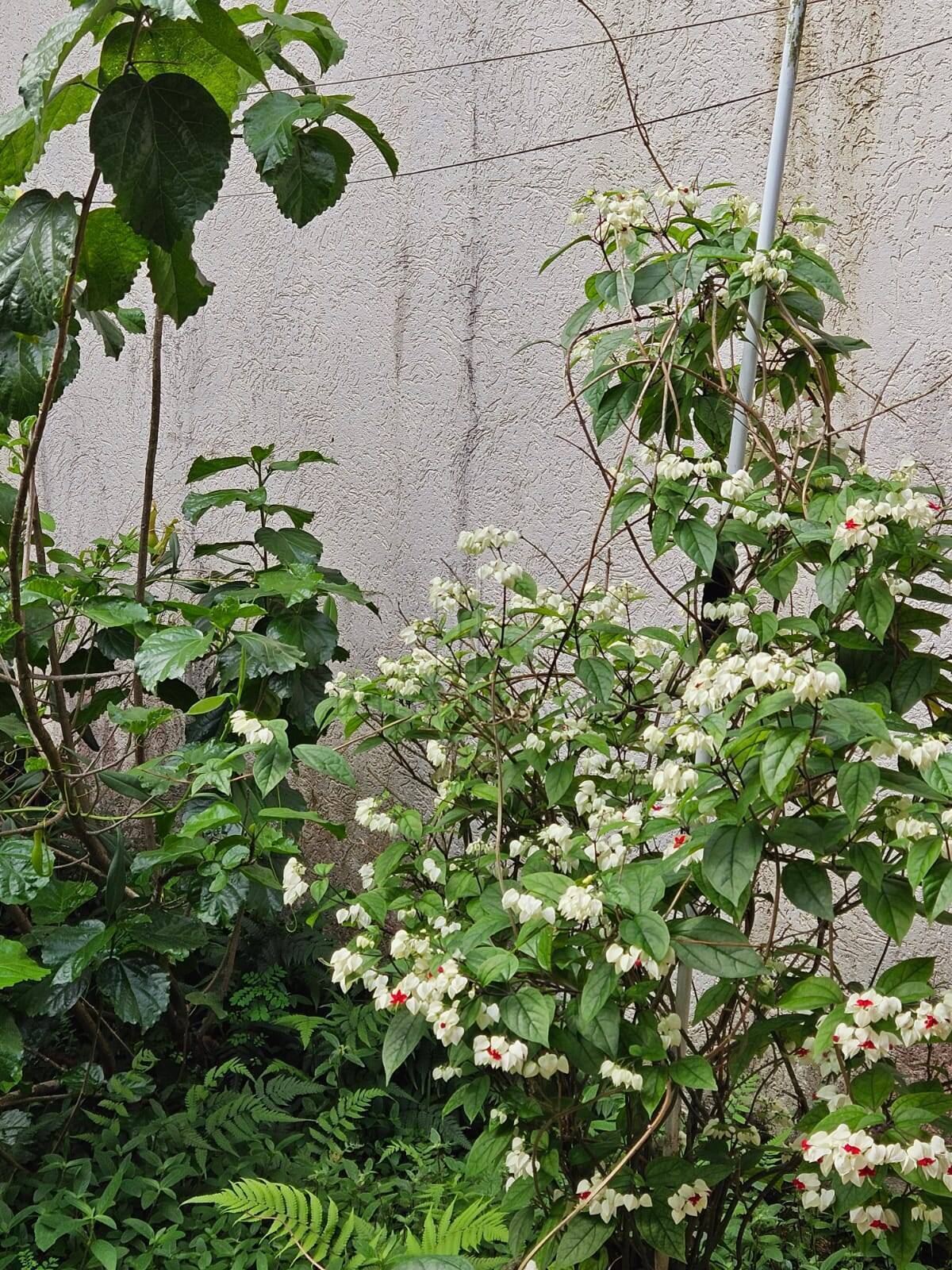 Sobrado, 3 quartos, 120 m² - Foto 10