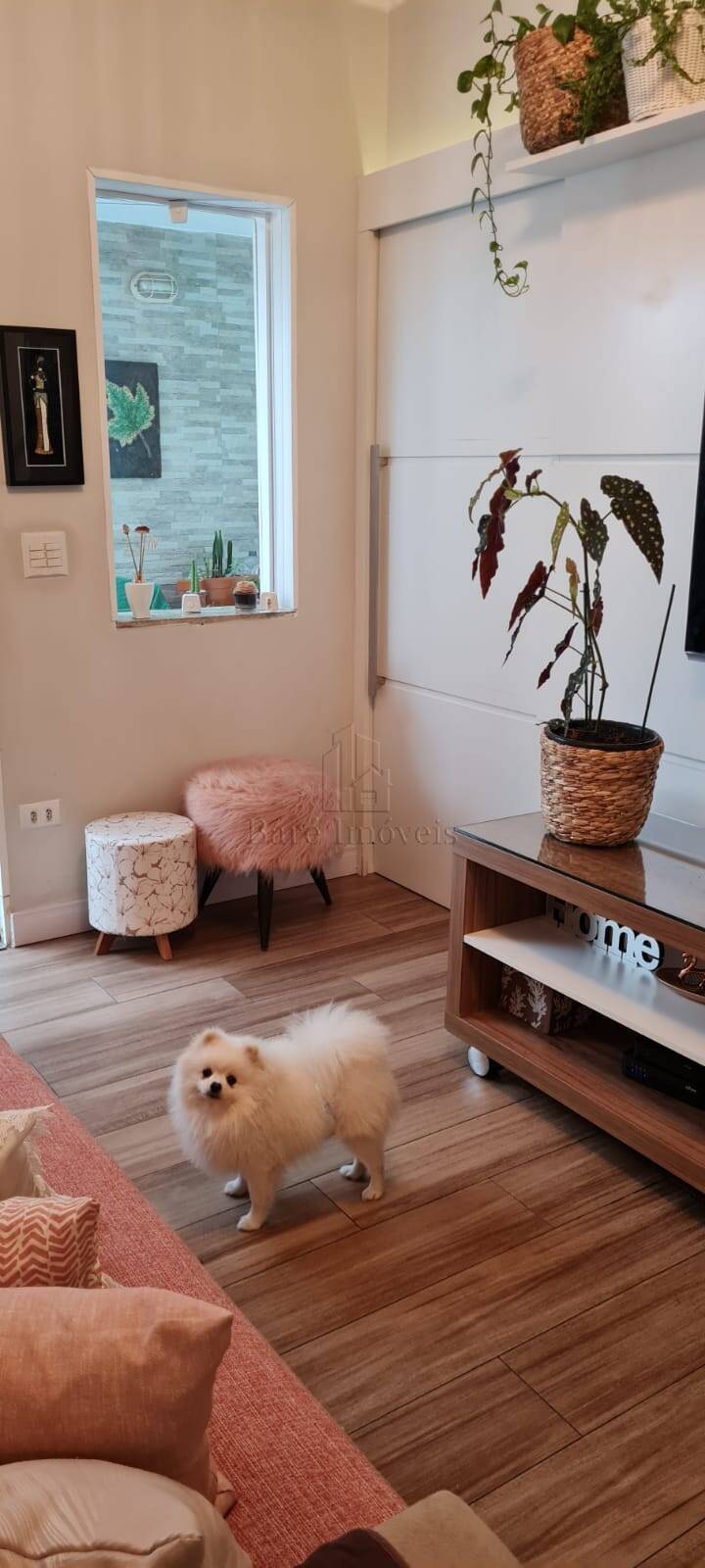 Casa, 4 quartos, 146 m² - Foto 12