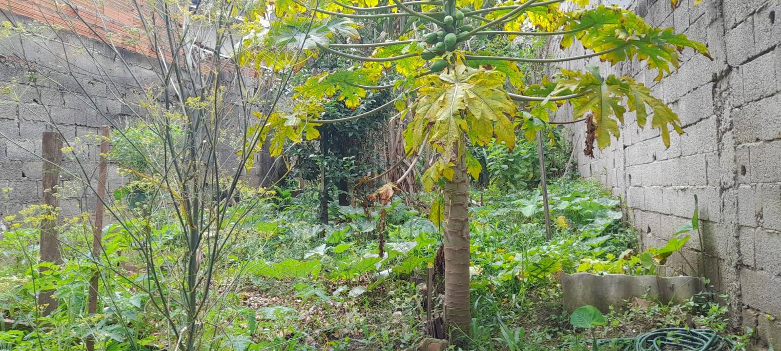 Terreno, 125 m² - Foto 2