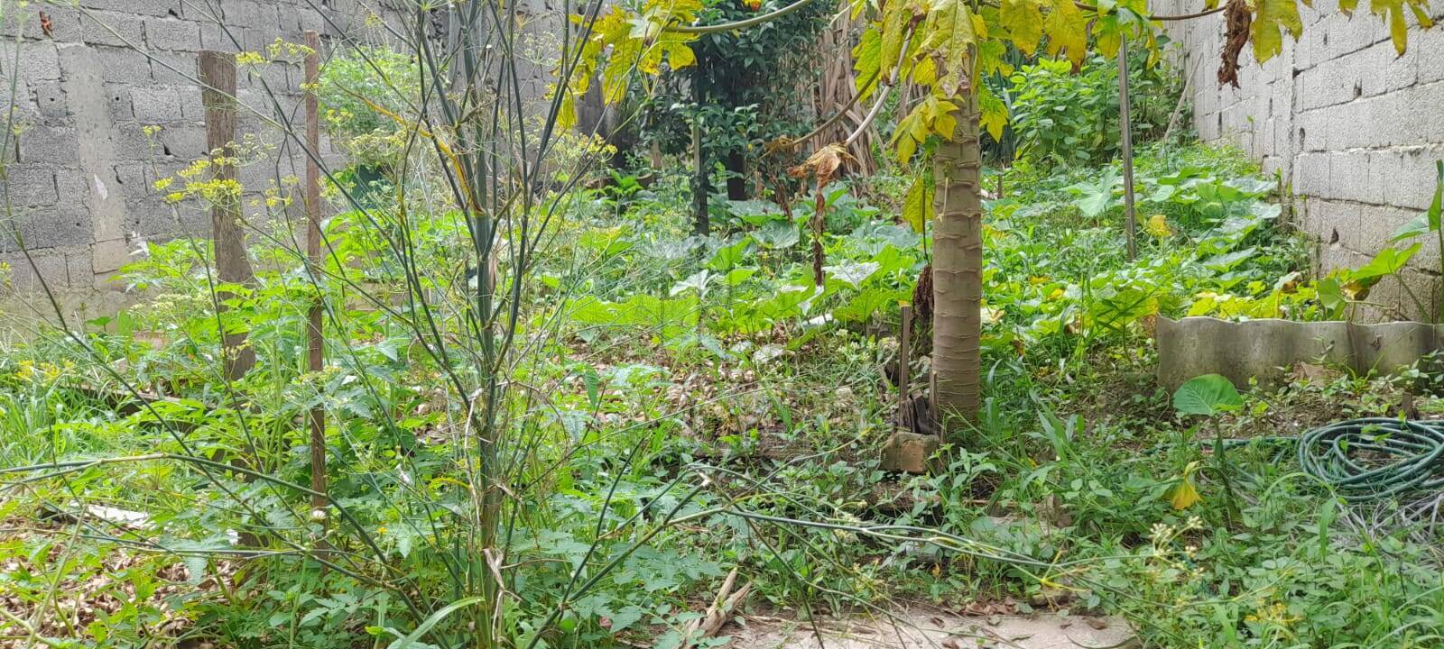 Terreno, 125 m² - Foto 3