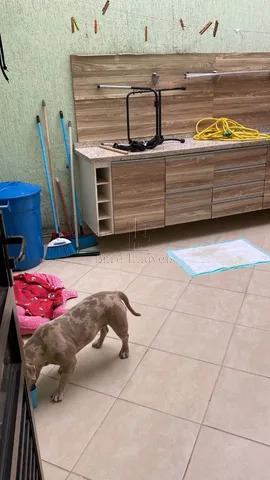 Sobrado, 3 quartos, 150 m² - Foto 14