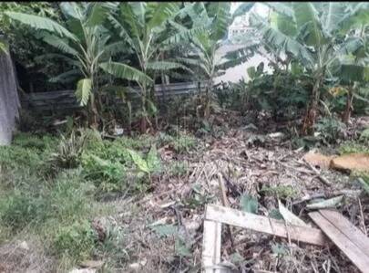 Terreno, 454 m² - Foto 13