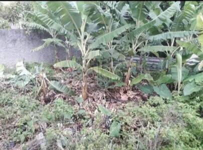 Terreno, 454 m² - Foto 16