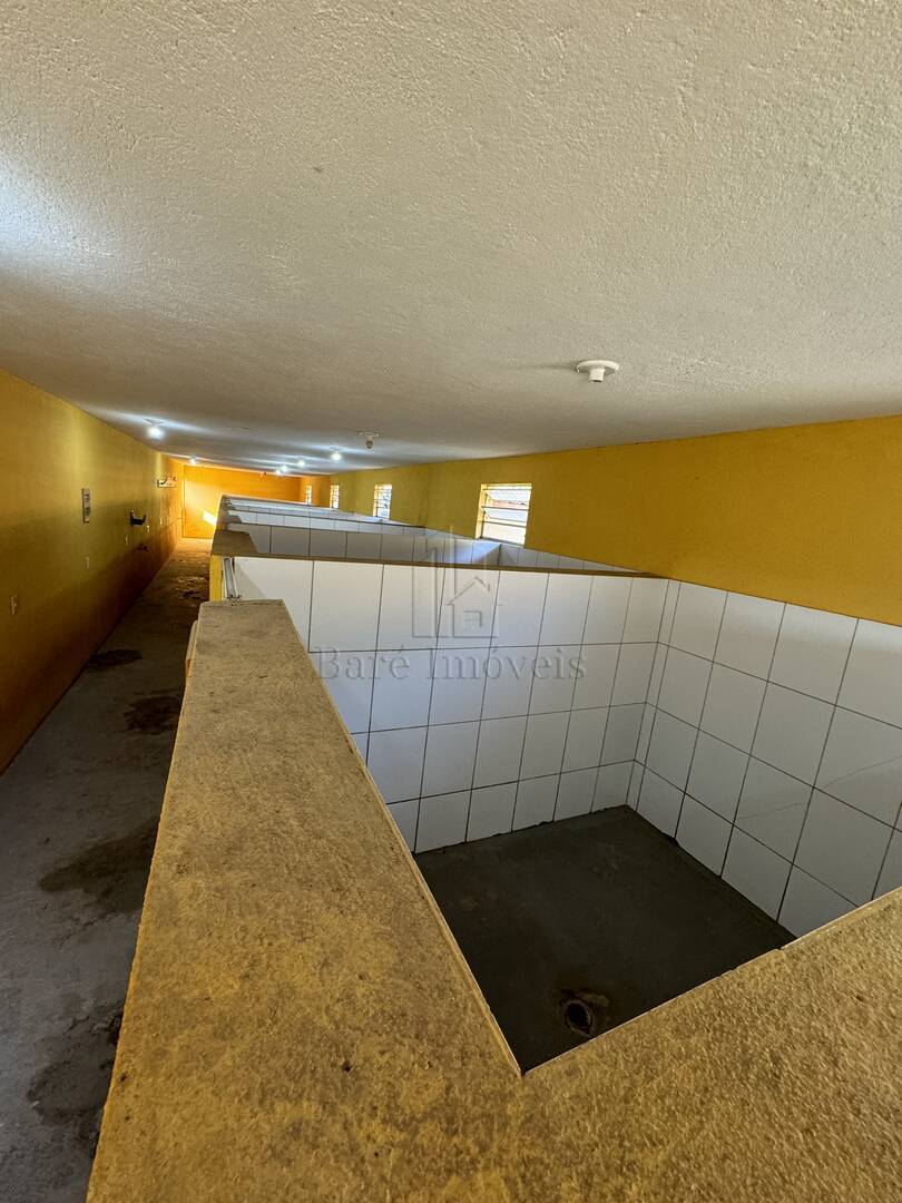 Chácara à venda com 3 quartos, 2400m² - Foto 49