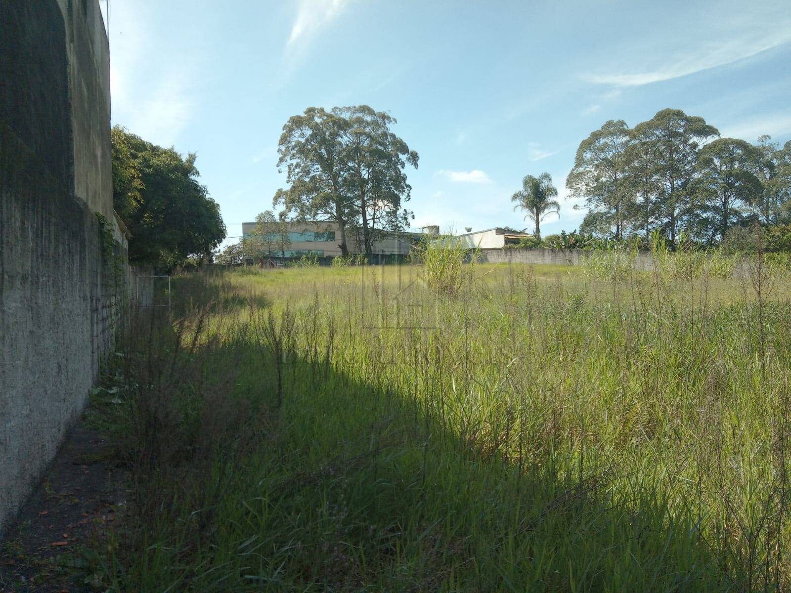Terreno à venda, 10266m² - Foto 1
