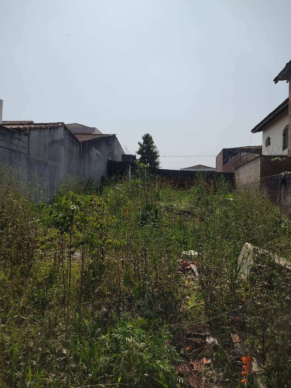 Terreno, 243 m² - Foto 1