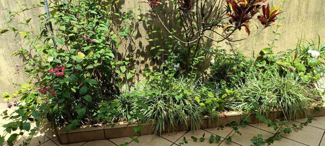 Casa à venda com 3 quartos, 130m² - Foto 30