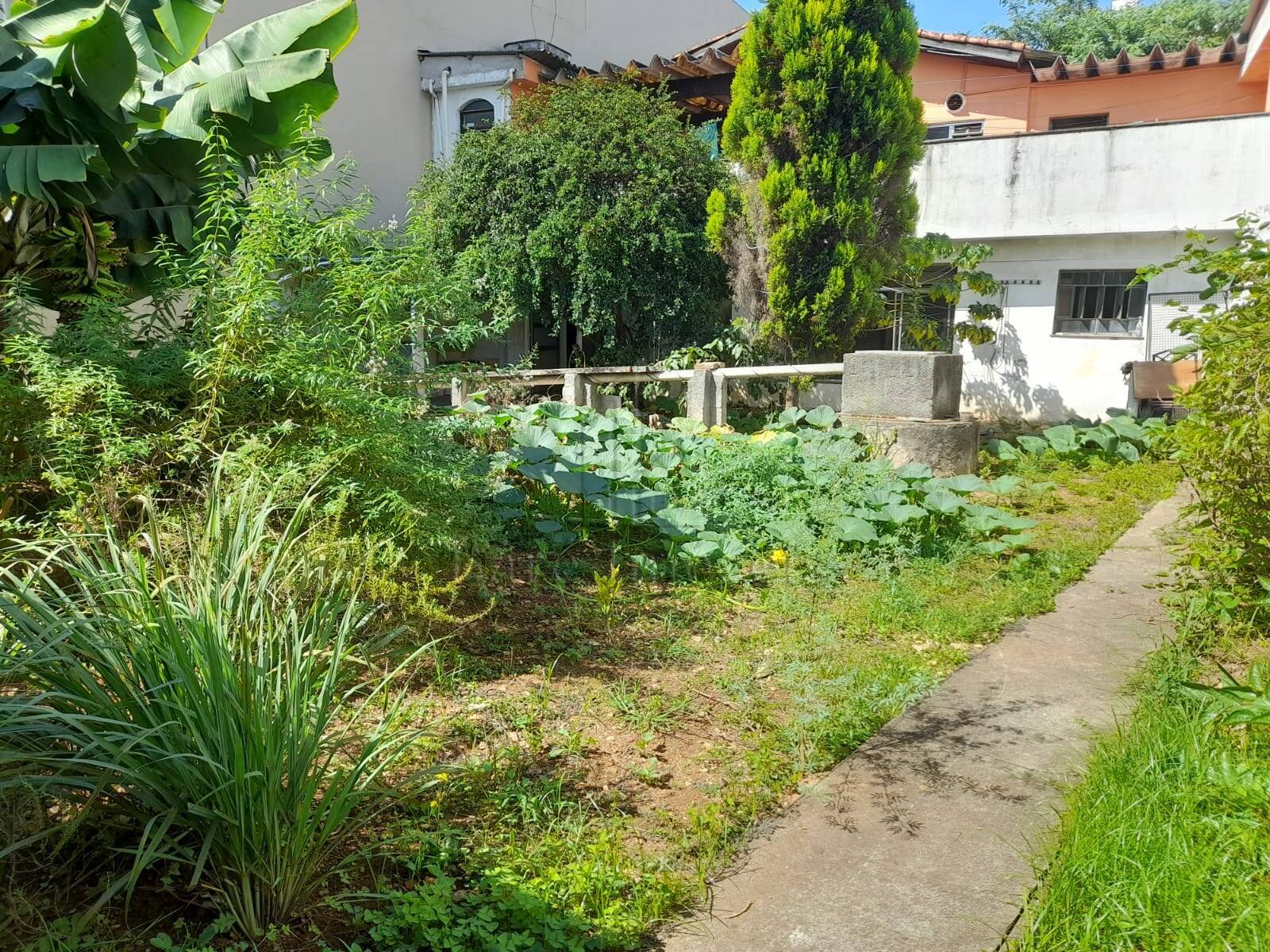 Terreno à venda, 180m² - Foto 2