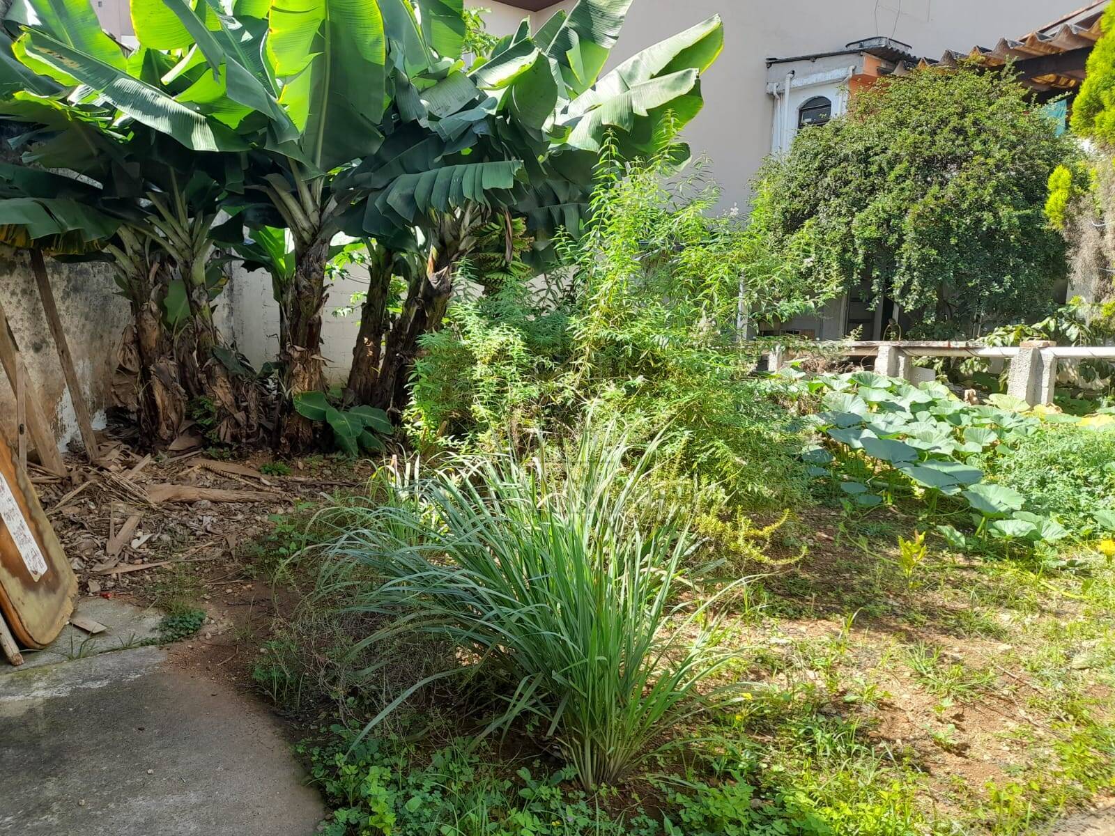 Terreno à venda, 180m² - Foto 9