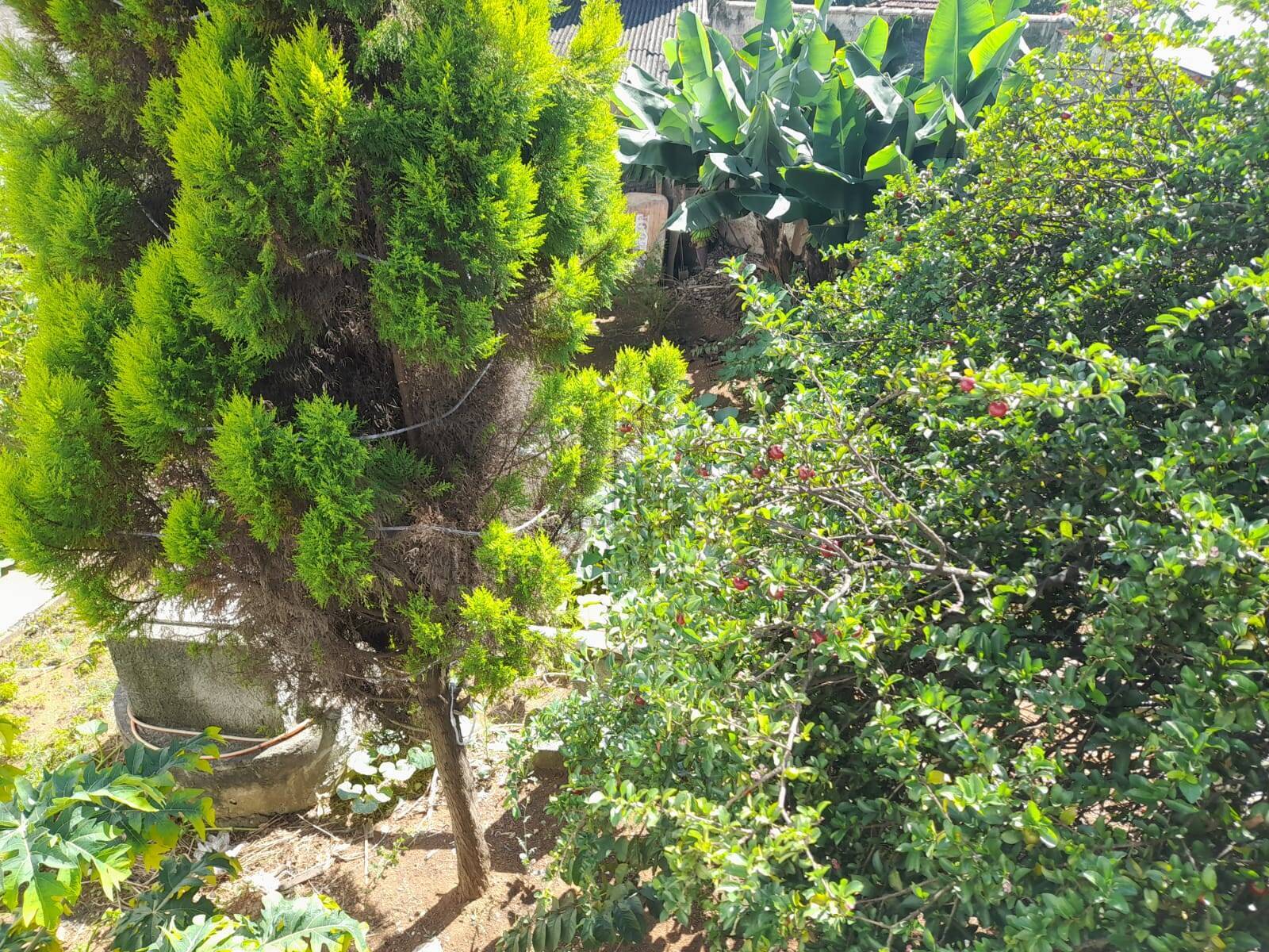 Terreno à venda, 180m² - Foto 16