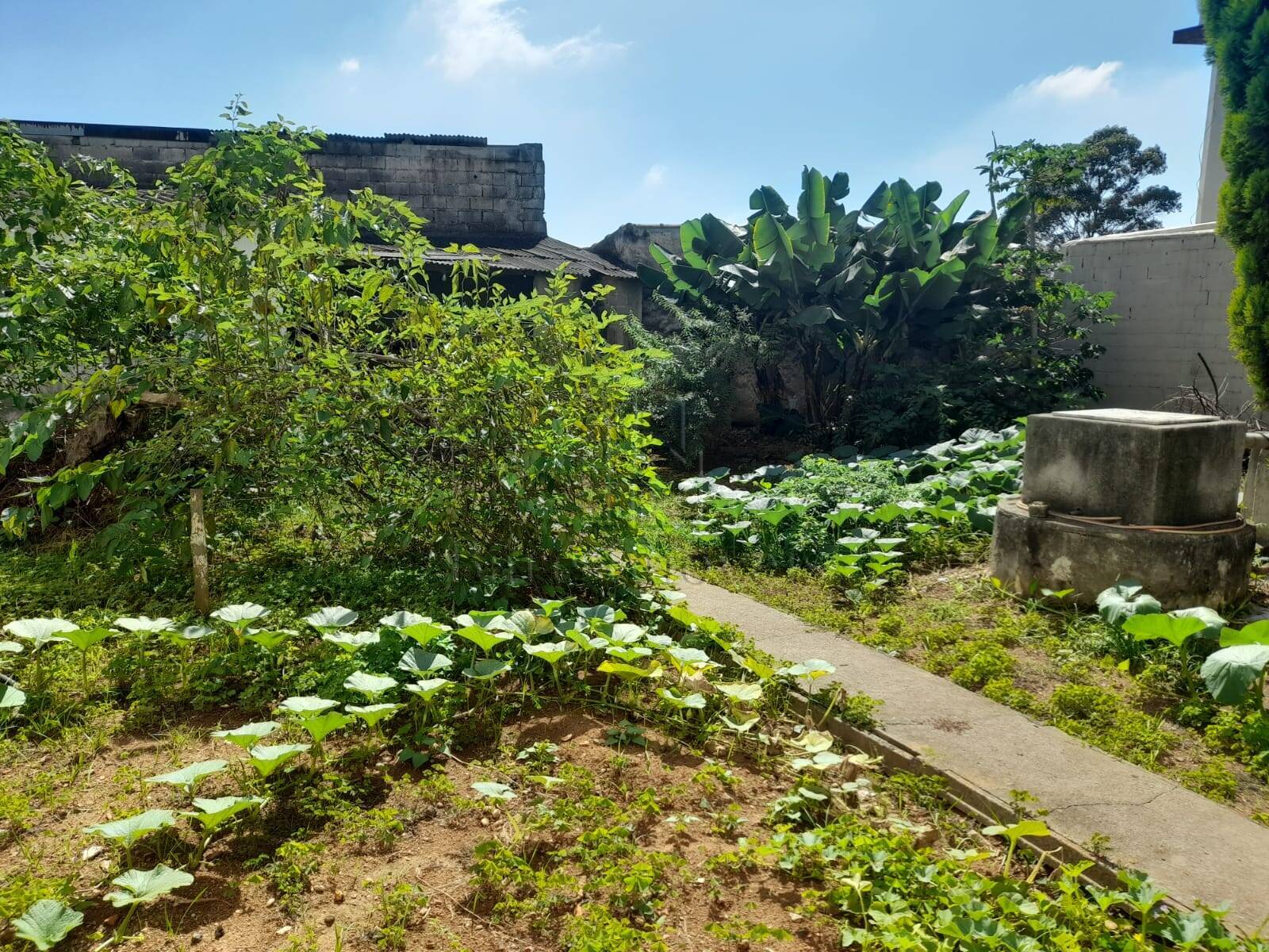 Terreno à venda, 180m² - Foto 1