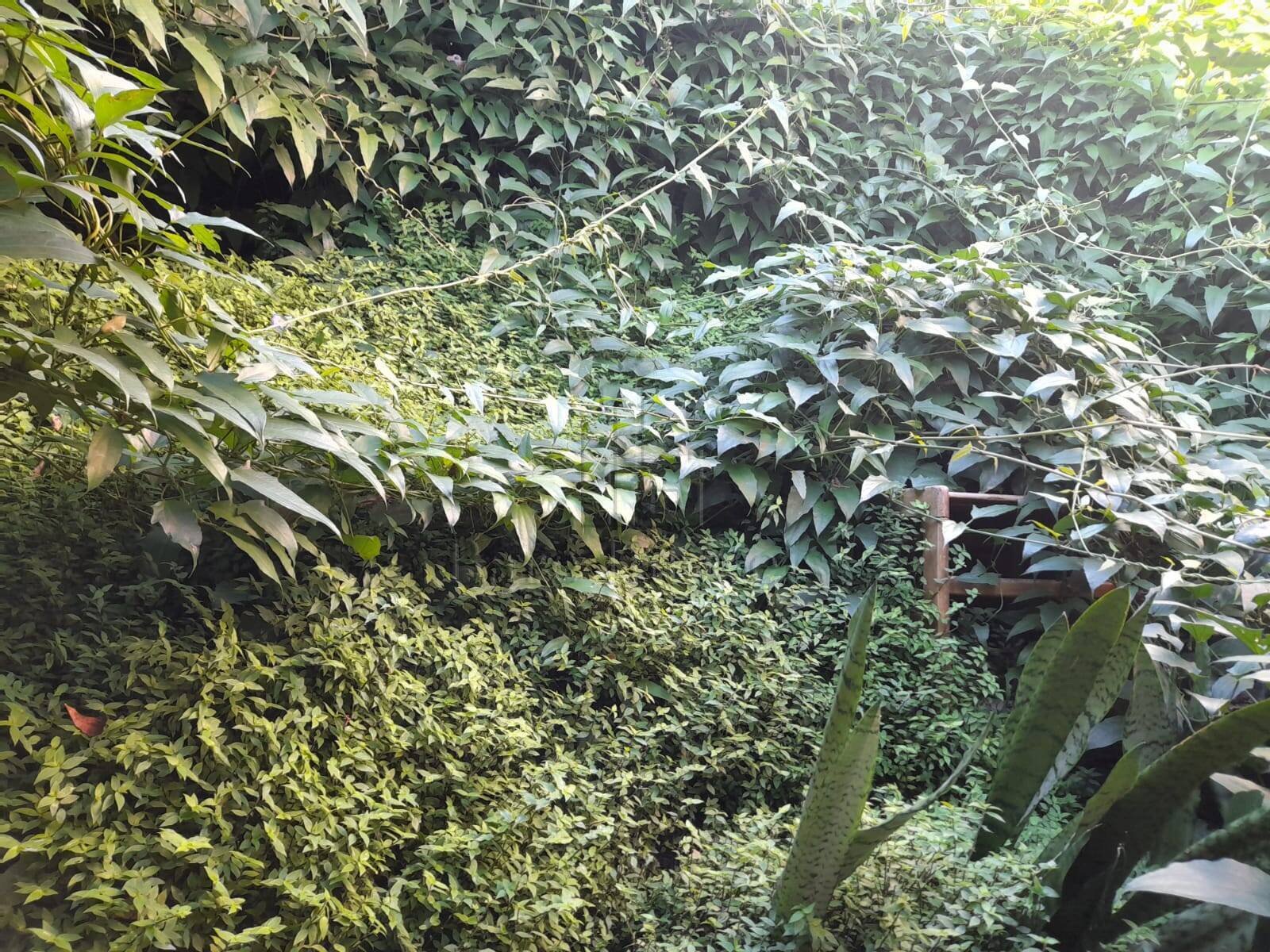 Terreno, 400 m² - Foto 7