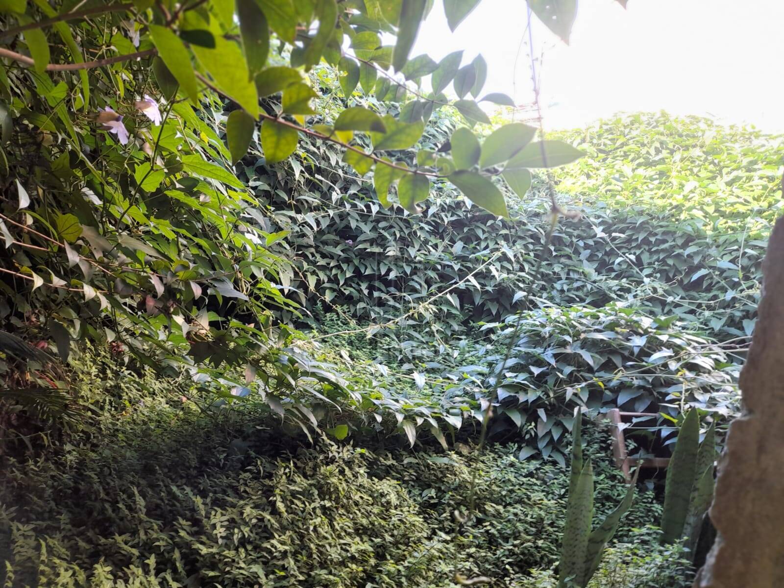 Terreno, 400 m² - Foto 12