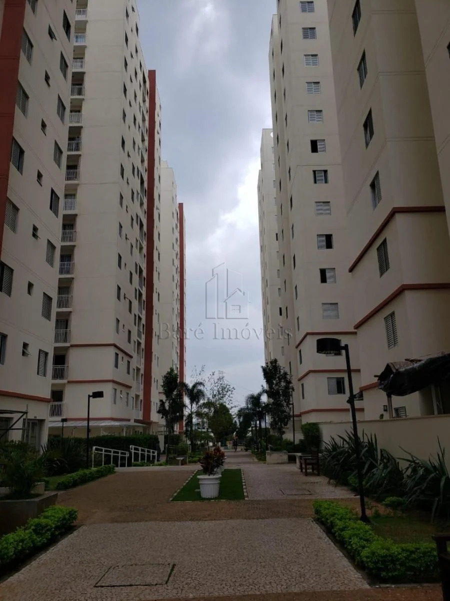 Apartamento, 3 quartos, 60 m² - Foto 3